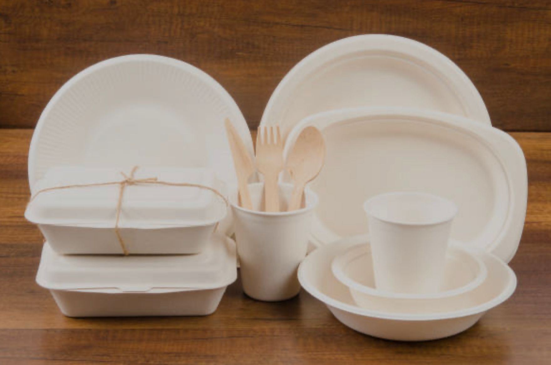 Sugarcane Pulp Tableware
