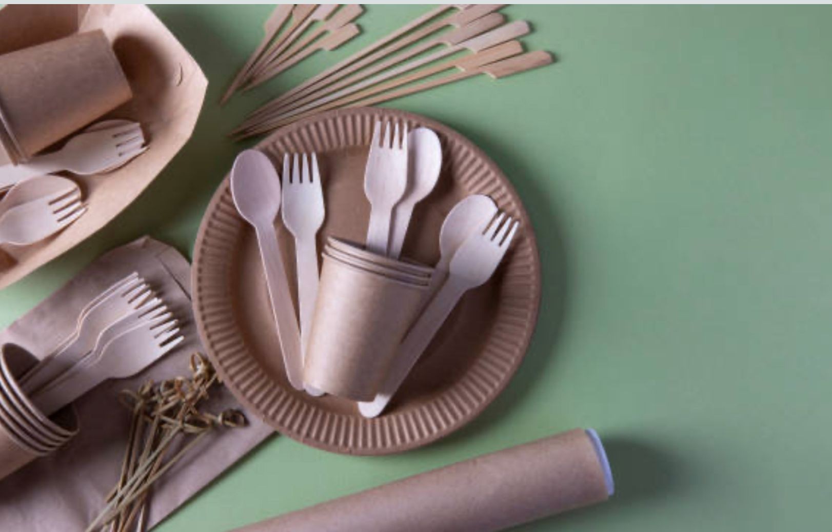 Bamboo Fiber Cutlery
